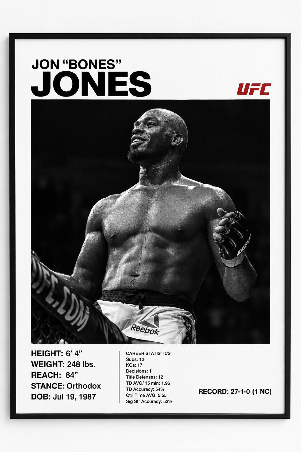 Poster jon jones